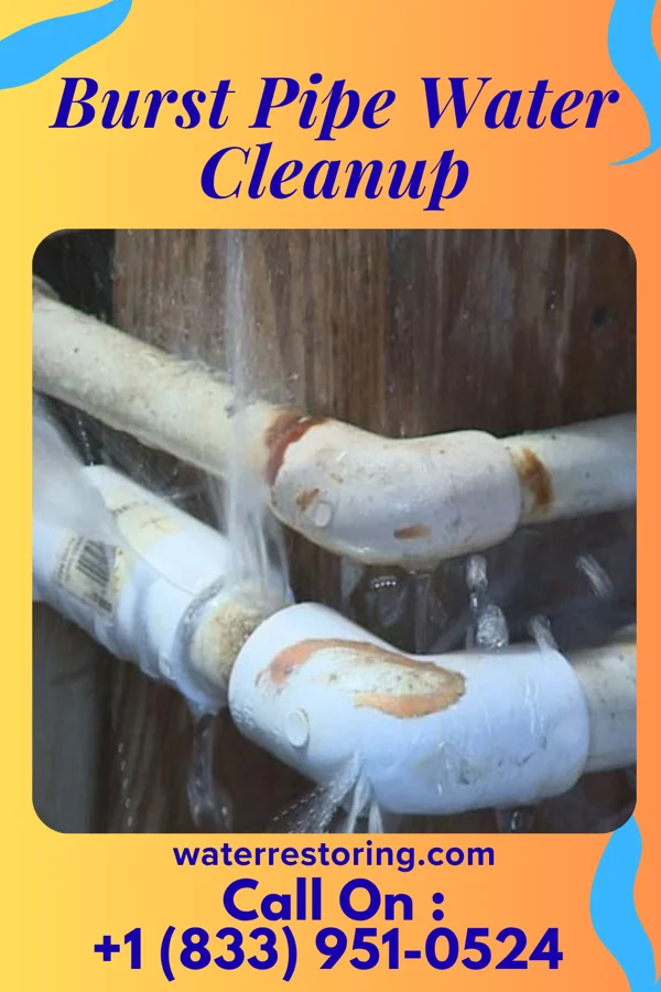 Burst Pipe Water Cleanup in Falconer, NY