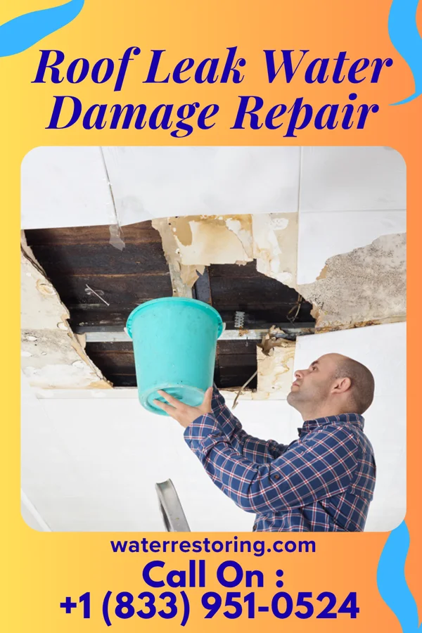 Roof Leak Water Damage Repair in Falconer, NY