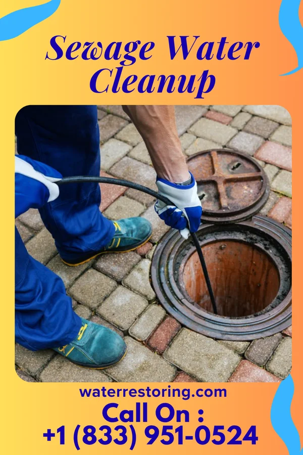 Sewage Water Cleanup in Falconer, NY
