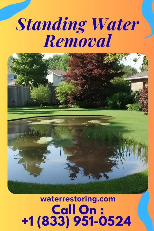 Standing Water Removal in Falconer, NY